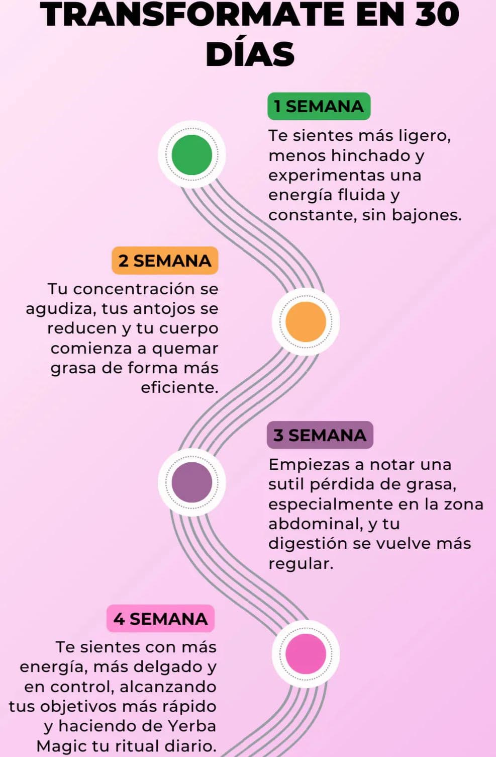 ✨Yerba Magic Peach Mango Brainista™ Fórmula Natural para Mejorar la Digestión y Reducir la Hinchazón
