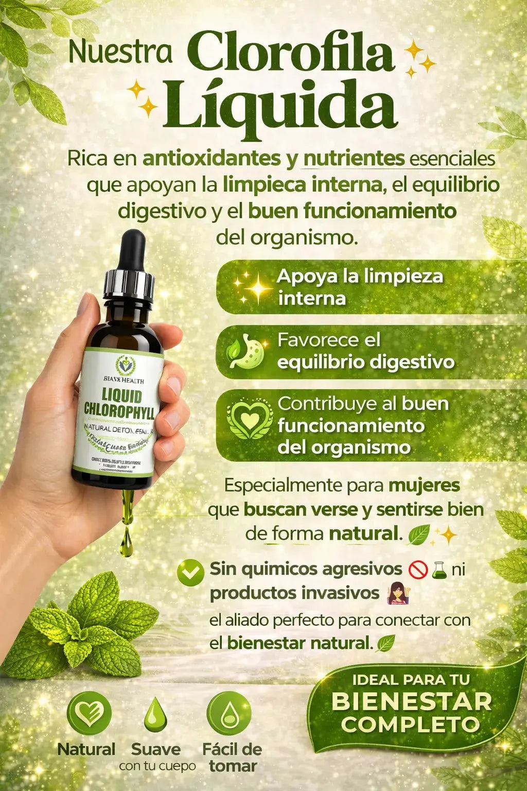 🍃 Clorofila Líquida – Apoya tu digestión y reduce la hinchazón